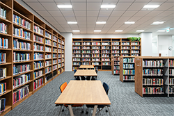 Photo of Library 2