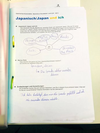 Picture of the questionnaire on Me and Japanese/Japanese Studies
