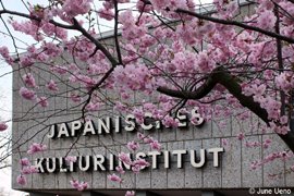 ケルン日本文化会館の春の写真