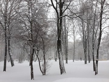 今年の冬は大雪の中、徒歩で通勤。の画像