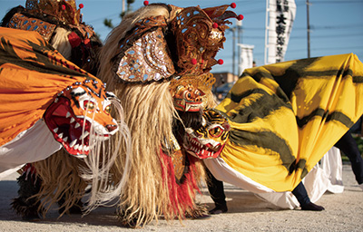 Photo of lions of Japan and Indonesia dancing at the 6th Sanriku International Arts Festival "FURERU"