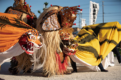 Photo of the Genealogy of the Lion/Deer Dance at the Sanriku International Arts Festival 2019
