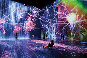 teamLab: Au-delà des limites（境界のない世界）の写真