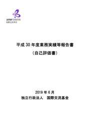 平成30年度業務実績等報告書（自己評価書）表紙