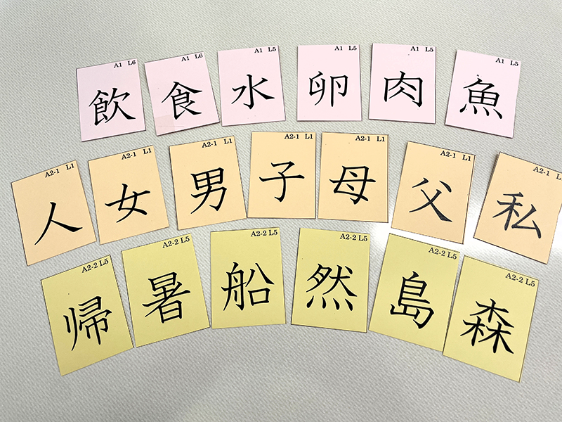 1文字ずつ漢字が書かれているカードが19枚ある。上段には飲、食、水、卵、肉、魚。中段には人、女、男、子、母、父、私。下段には帰、暑、船、然、島、森。