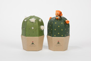 Cactus for Clothes
