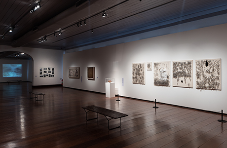 Photo of Installation View 3