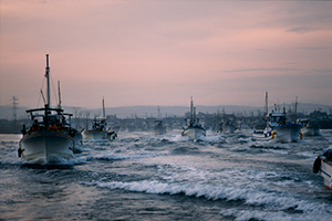 Photo: A seaweed harvesting boat leaves harbor