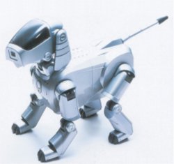 Photo of AIBO