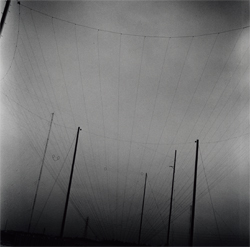 Photo titled AFTERNOON, taken by Akihide Tamura