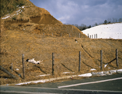 Photo from the series Japanese Landscape, taken by Norio Kobayashi: 