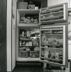 Tokuko Ushioda From the series "Ice Box", 1988の写真