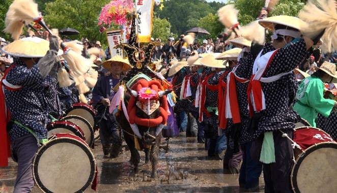 屋外で大太鼓や小太鼓を持っている人が並んでいる「花田植」の様子