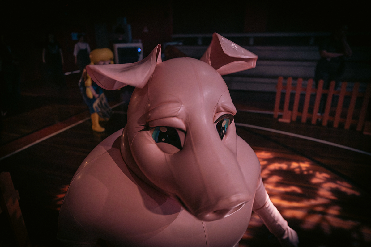 公演の様子：サエポークのクローズアップ