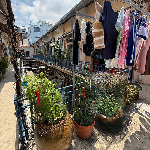 クー・タップ・テーの共有スペースの中庭に住民の私物である植木鉢が4つ並んでいる。