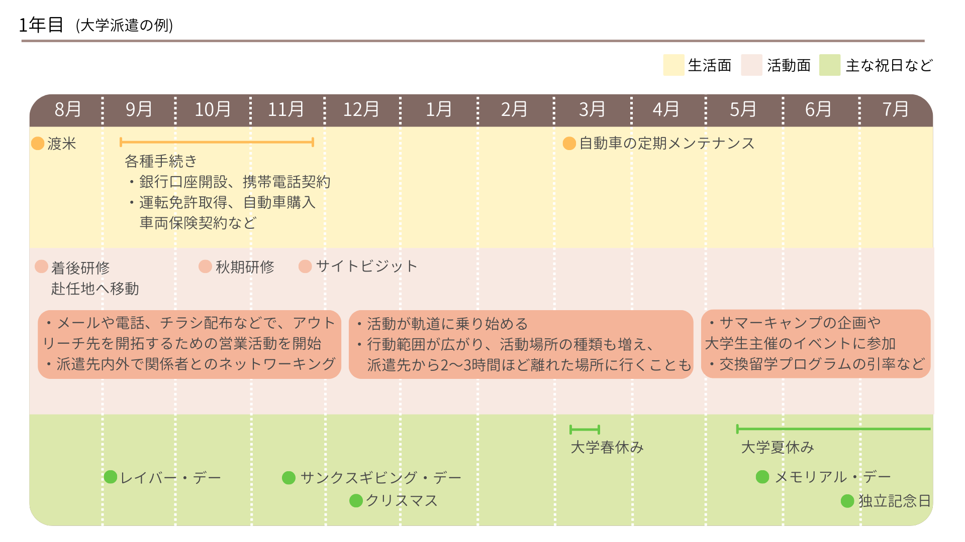 1年目大学派遣の例