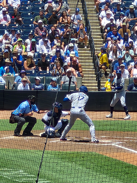 バッターボックスでかまえている大谷翔平選手
