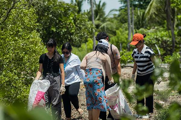 参加者たちがマングローブ林で清掃活動をしている