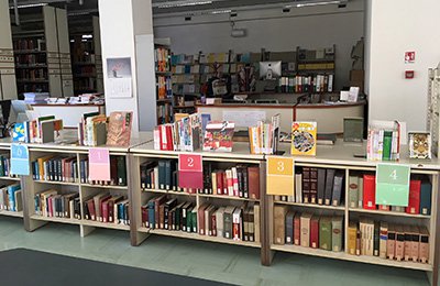 Photo of books divided into five levels