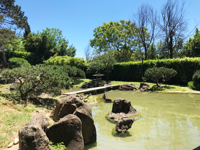 ローマ日本文化会館の教室から見える日本庭園の写真