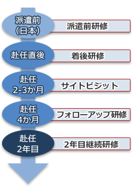 研修プログラムのフローの図