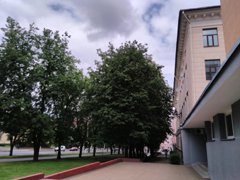 大学と大使館街の写真