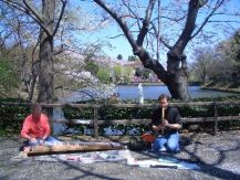 「桜前線ツアー2007」のパートナー、カート・パターソンさんと（神奈川、三池公園）の画像