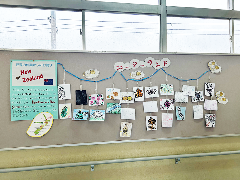 日本の中学校の廊下に、ニュージーランドの高校生から届いた絵手紙が並べて飾ってある。