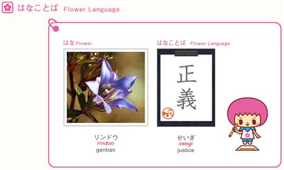 「はなことば」の画像