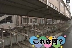 「これは何？」動画イメージ画像：自転車置き場の様子