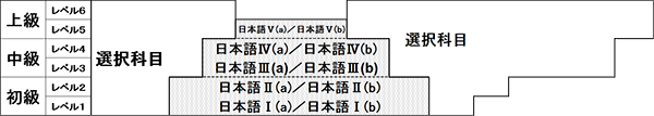 桜美林大学の日本語科目の構成図：初級から上級までレベルが6段階に分かれ、1～5の各レベルに「日本語Ⅰ(a）」「日本語Ⅰ(b)」のように2つの総合日本語科目が開講されている。上級に進むにつれ、総合日本語以外の選択科目の割合が増える