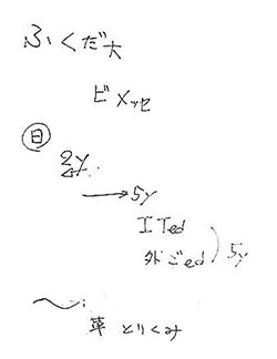 三つの文のメモ取り画像「ふくだ大/ビメッセ（改行）丸囲みの日/2y←/→5y/Ited/外ごed　）5y（改行）～/革　とりくみ」