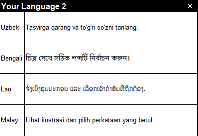 Your Language2