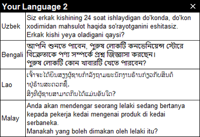 Your Language2